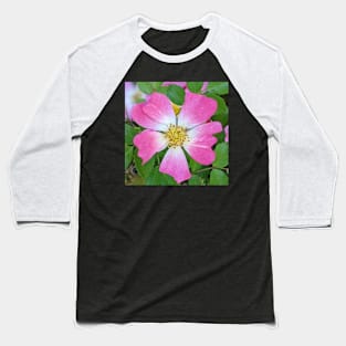 Pink and White Flowers Photographic Image Baseball T-Shirt